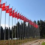 25 metre Bayrak Direği